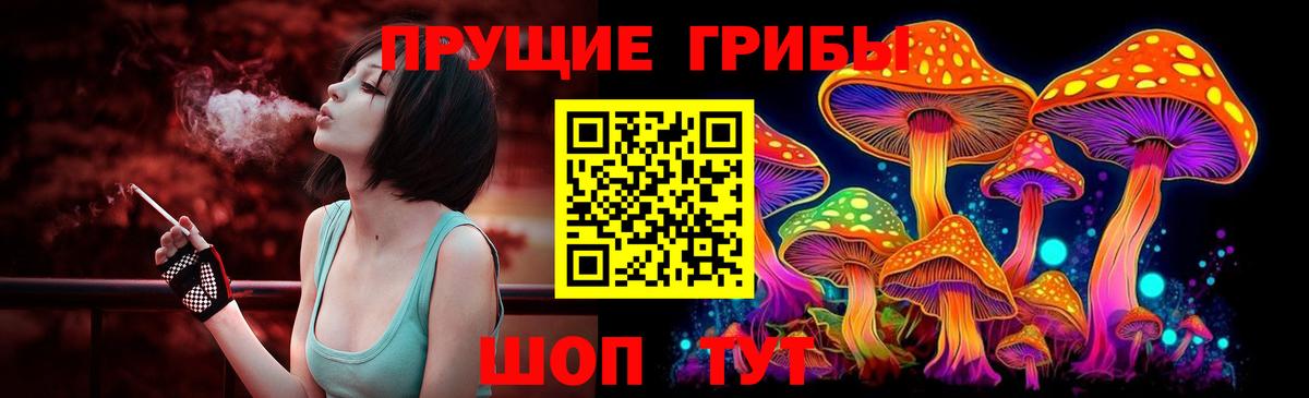 Псилоцибиновые грибы GOLDEN TEACHER Нефтекумск